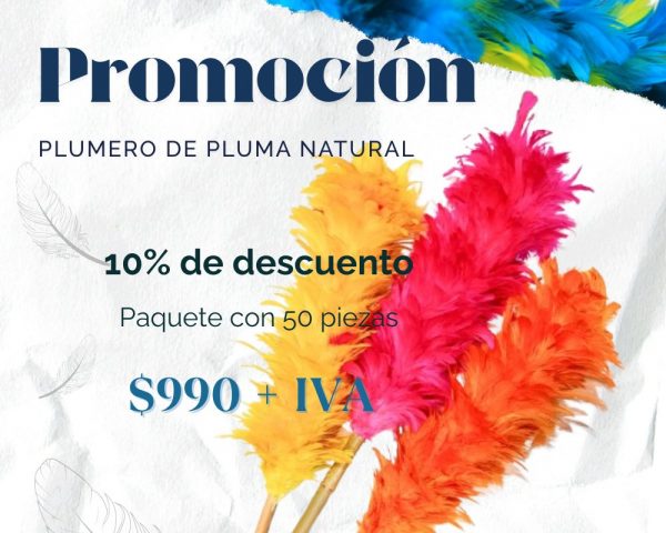 Promocion10%